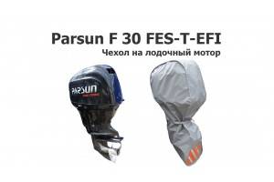 Чехол на лодочный мотор Parsun F 30 FES-T-EFI (Парсун Ф 30 ФЕС)