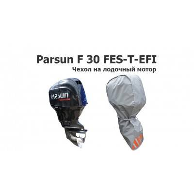Чехол на лодочный мотор Parsun F 30 FES-T-EFI (Парсун Ф 30 ФЕС)